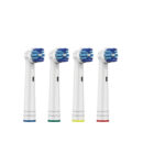 Dent Xpert Pro Universal Replacement Brush Heads – 4 Pack