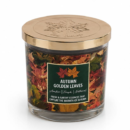 Ivy Cottage Fall Scented Candle 350g - Autumn Leaves