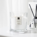 Wickford & Co Premium Fragranced Candle - Pomegranate