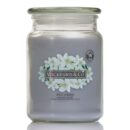 Wickford & Co Scented Candle 18oz - Wild Jasmine